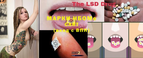 твердый Алзамай
