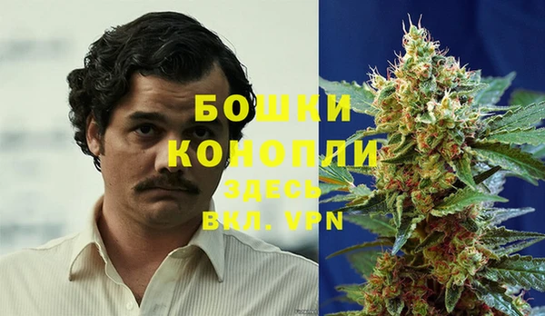 твердый Алзамай