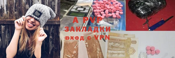 альфа пвп Гусев